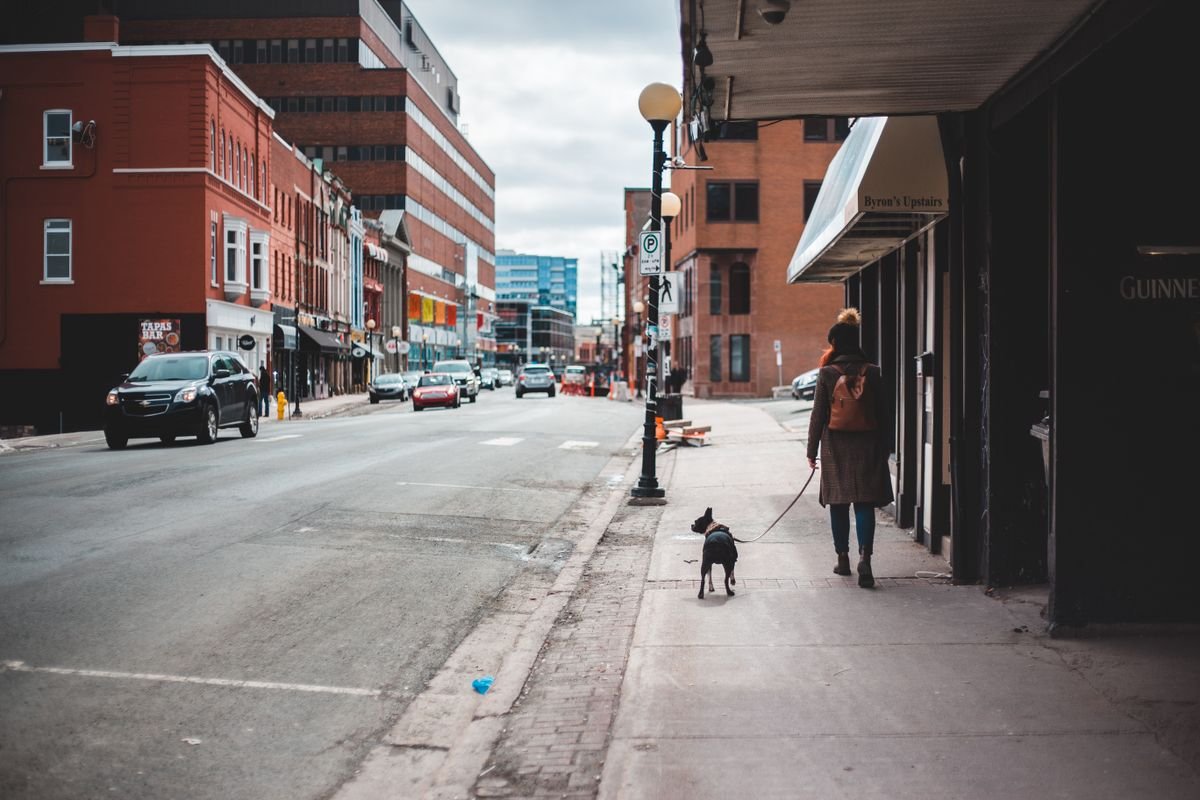 Raising a Healthy Dog in the City: A Yaletown Pet Owner’s Guide